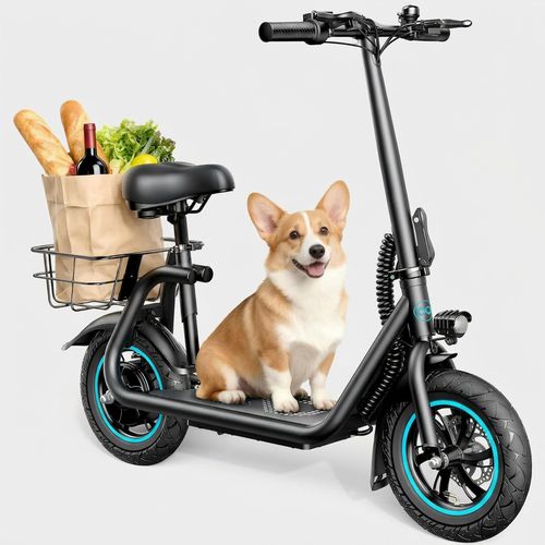 Awwscooter C1 Professional Black seated electric scooter